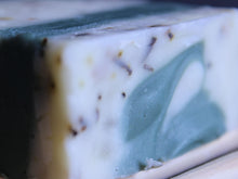 Load image into Gallery viewer, Mole's Spring Clean