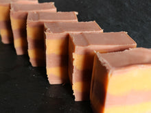 Load image into Gallery viewer, Squirreled Away