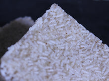 Load image into Gallery viewer, Sea Lion's Mane